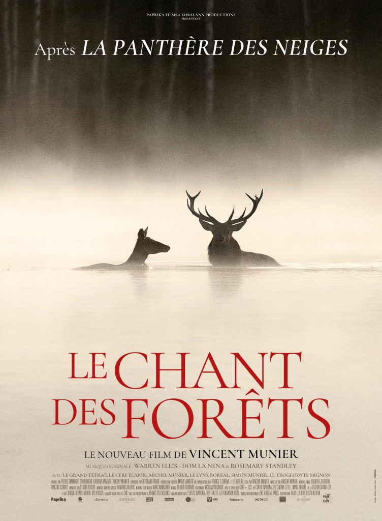 Affiche cinéma en plein air samedi 22 aout à 21h au Climatographe